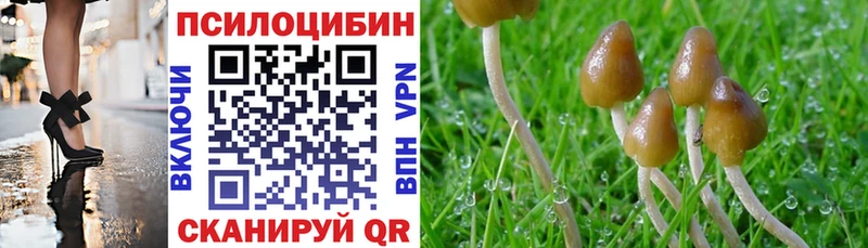 Галлюциногенные грибы GOLDEN TEACHER  ОМГ ОМГ маркетплейс  Оханск 